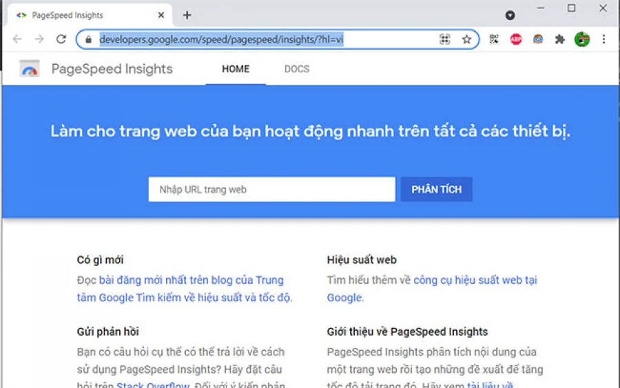 PageSpeed Insights