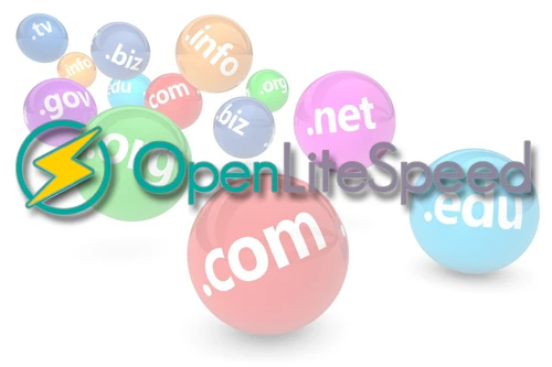 Cách thêm domain vào OpenLiteSpeed