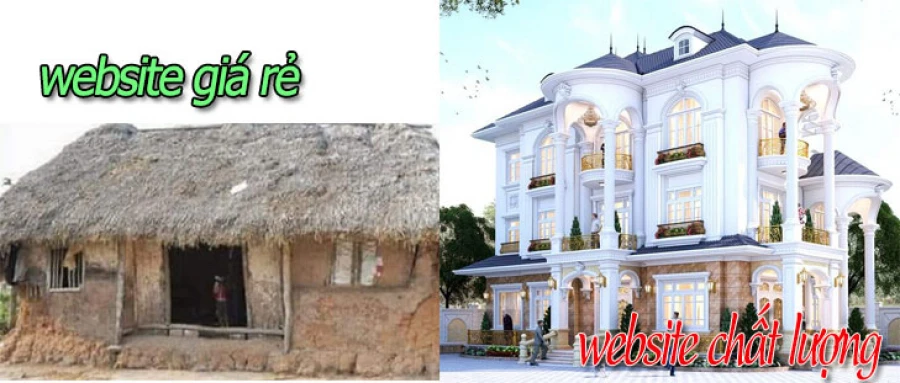 thiết kế website giá rẻ